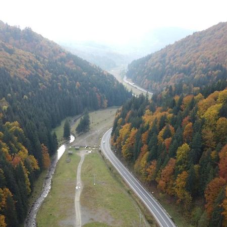 Pensiunea Bradului Colibiţa Exterior foto